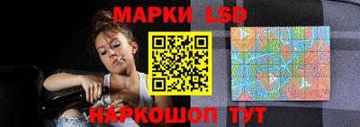 спиды Обь