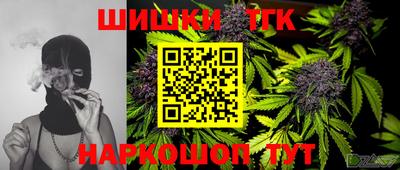 спиды Обь