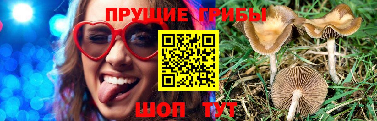 Сердобск  Галлюциногенные грибы мухоморы  Вход с VPN 
